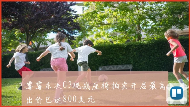 霉霉东决G3观战座椅拍卖开启最高出价已达800美元