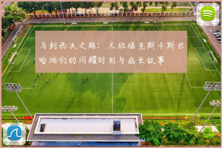 马刺西决之路：文班福克斯卡斯尔哈珀们的闪耀时刻与成长故事