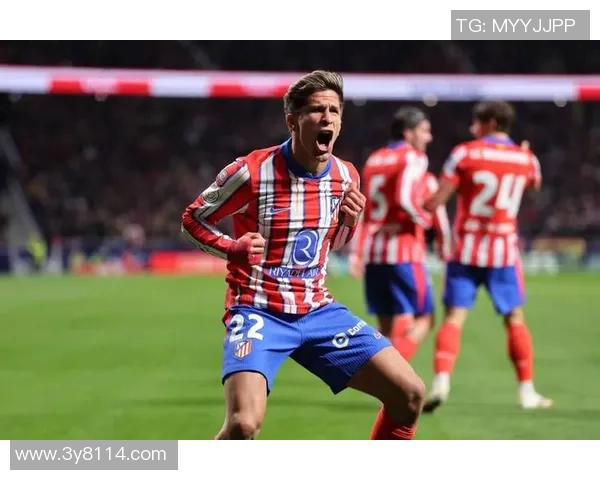 马竞官方确认勒诺尔芒左膝严重损伤但韧带半月板完好